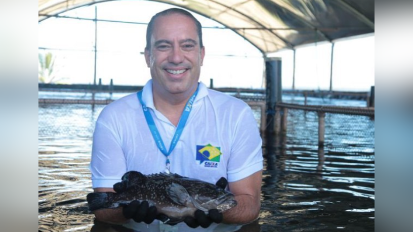 Pedro Duarte Guimarães