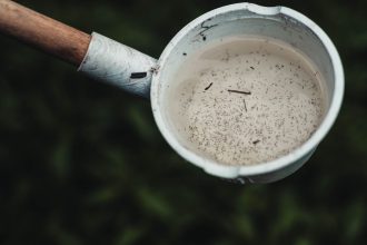 Larvas de mosquito em uma pequena quantidade de água, em close.